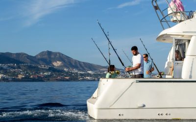 Imagen de WhatsApp 2024-04-17 a las 20.29.05_6c83453c